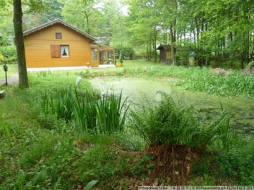 Lind In Der Eifel Immobilienmakler Haus Verkaufen Oder Vermieten