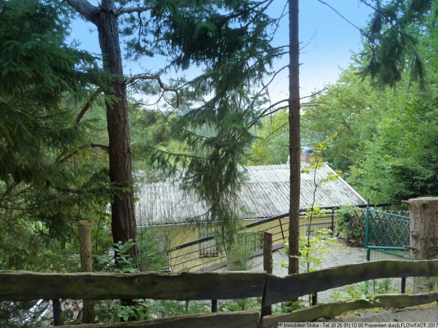 Gepflegtes Wochenendhaus mit Fernblick in idyllischer Waldlage - Blick vom Weg