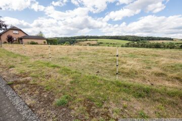 Panoramablick über Wiesen und Felder - Baugrundstück am Ortsrand von Borler - Ansicht Grundstück