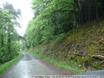 Wald- und Wiesengrundstücke in Schuld, 53520 Schuld (Ahr), Land-/Forstwirtschaft
